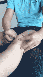 髌骨活动度训练.gif